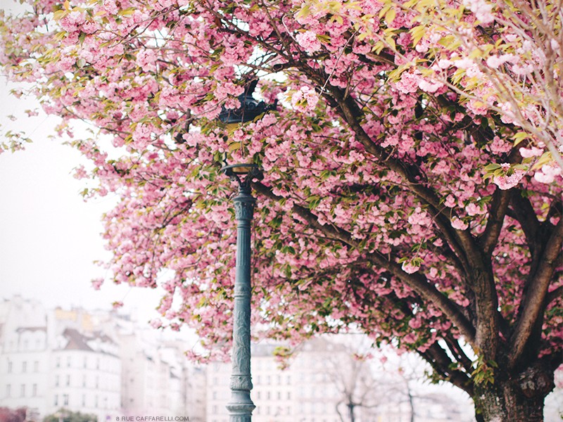 This Is Glamorous | Places : Springtime in Paris