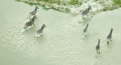 Photography : The African Savannah by Zack Seckler