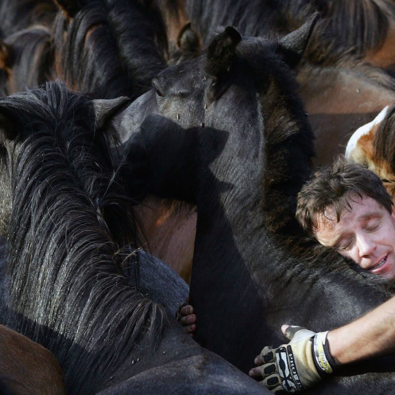 A reveller tries to hold a wild horse during the "Rapa Das Bestas" traditional event in the Spanish northwestern village of Sabucedo July 1, 2006. On the first weekend of the month of July, hundreds of wild horses are rounded up, trimmed and groomed in different villages in Spain's northwestern region of Galicia. REUTERS/Miguel Vidal (SPAIN) - RTR1F3MV
