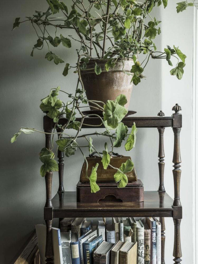 Décor Inspiration | At Home With: Jane Ormsby Gore, Welsh Countryside