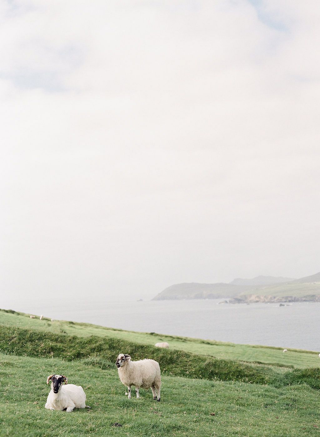 Weddings | Pure Romance: An Ireland Elopement