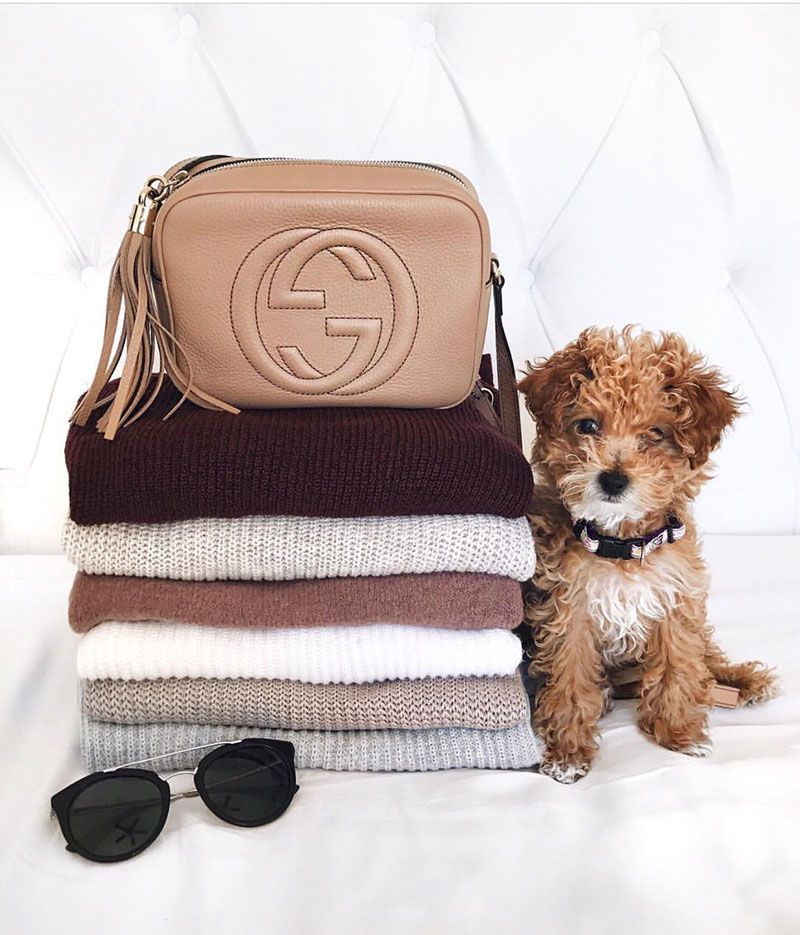 Blogger Style Inspiration | No. 05: Caitlin of Southern Curls & Pearls, Charlotte, North Carolina