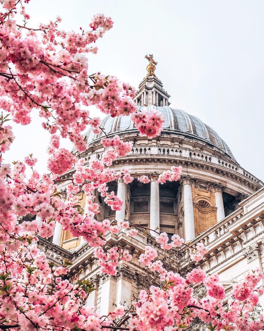 Travel Inspiration | Around the World by Instagram Vol. 02, No. 02 – in 37 Breathtaking Images from the Amsterdam Canals to the Magnolia Blossoms in Paris