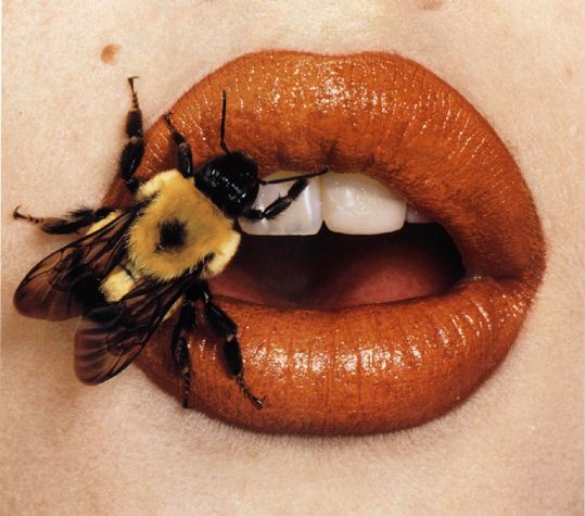 Exhibition: Irving Penn at the Grand Palais, 21 September 2017 – 29 January 2018