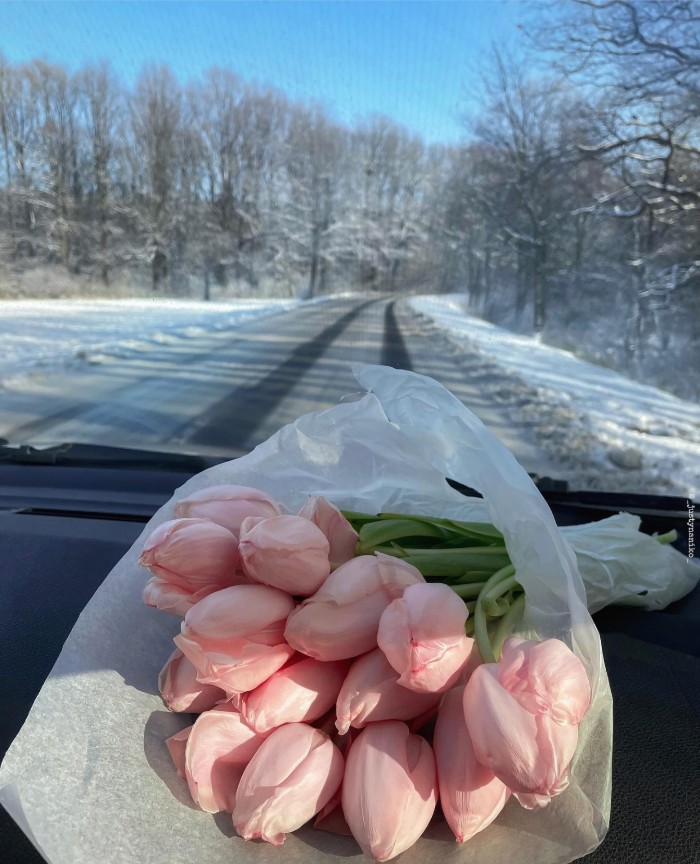 News 02.26.21 : Today’s Articles of Interest from Around the Internets News 02.26.21 : Today’s Articles of Interest from Around the Internets