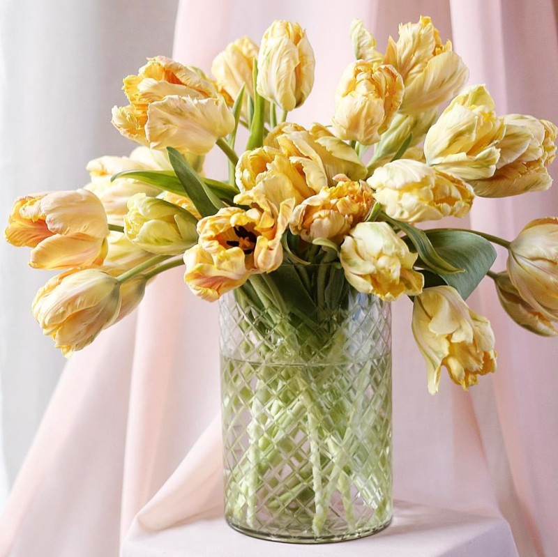 Style File | The Colour of Daffodils: Spring Comes in Shades of Yellow